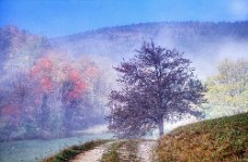 Herbst Biedermeiertal